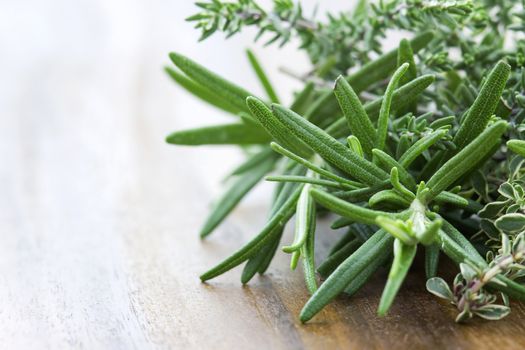 thyme and rosemary - fresh garden herbs