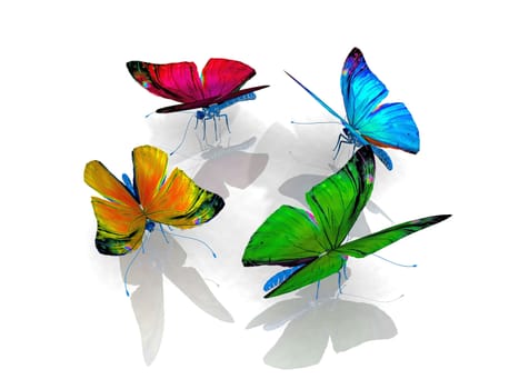 the beautiful butterfly with wings