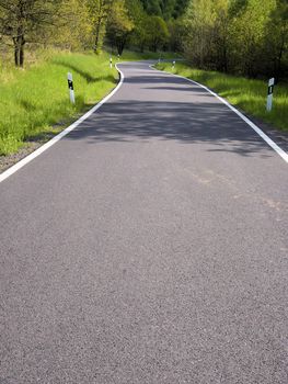 the road lost in the forest