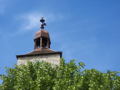 the  church tower above the  trees