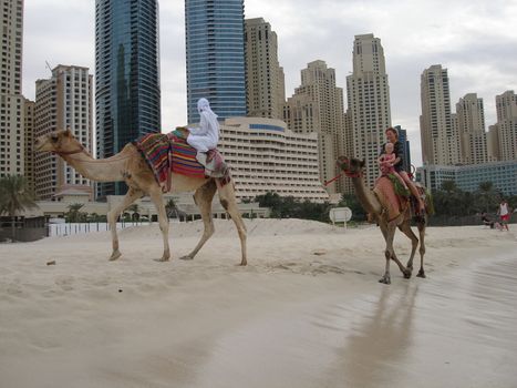 riding camels on the beach, Dubai