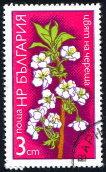 BULGARIA - CIRCA 1974: stamp printed by Bulgaria, shows Apple flower, circa 1974