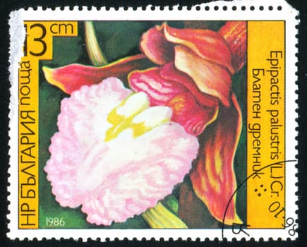 BULGARIA - CIRCA 1986: stamp printed by Bulgaria, shows Orchid, circa 1986