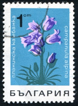 BULGARIA - CIRCA 1968: stamp printed by Bulgaria, shows Bellflower, circa 1968