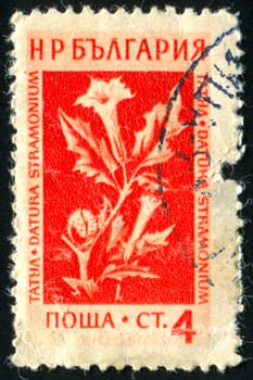BULGARIA - CIRCA 1953: stamp printed by Bulgaria, shows flower, circa 1953