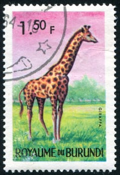 BURUNDI - CIRCA 1964: stamp printed by Burundi, shows giraffe, circa 1964