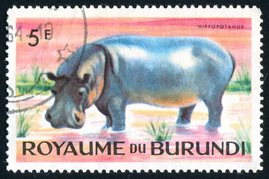 BURUNDI - CIRCA 1964: stamp printed by Burundi, shows hippopotamus, circa 1964