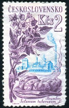 CZECHOSLOVAKIA - CIRCA 1961: stamp printed by Czechoslovakia, shows potato and factory, circa 1961