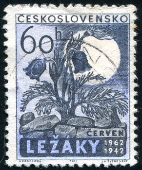 CZECHOSLOVAKIA - CIRCA 1962: stamp printed by Czechoslovakia, shows flower, circa 1962