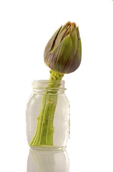 Close up of an artichoke in a glass can over white