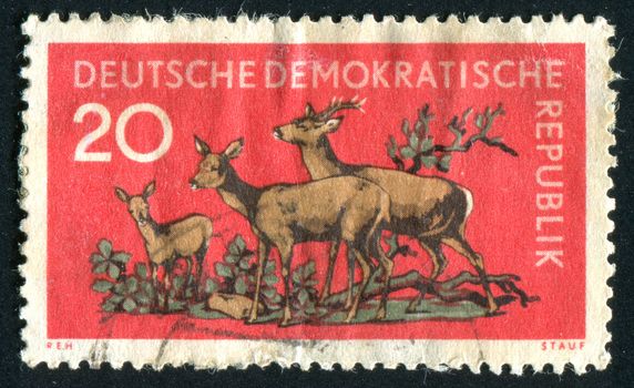 GERMANY - CIRCA 1959: stamp printed by Germany, shows Roe deer, circa 1959