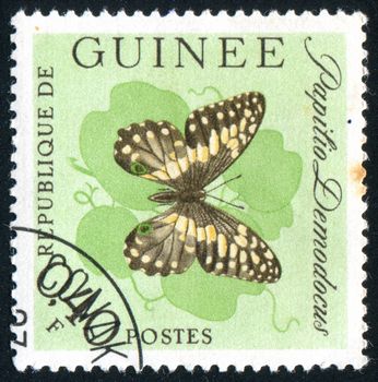 GUINEA - CIRCA 1972:   stamp printed by Guinea,  shows butterfly, circa 1972.