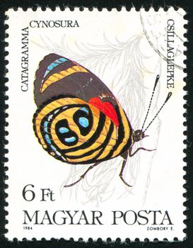 HUNGARY - CIRCA 1984: stamp printed by Hungary, shows butterfly, circa 1984