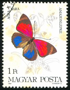 HUNGARY - CIRCA 1984: stamp printed by Hungary, shows butterfly, circa 1984