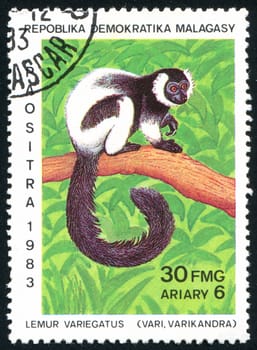 MALAGASY - CIRCA 1983: stamp printed by Malagasy, shows Lemur, circa 1983.