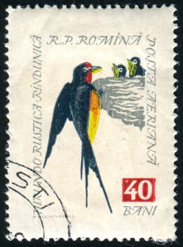 ROMANIA - CIRCA 1959: stamp printed by Romania, show Barn swallow, circa 1959.