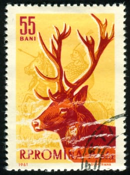 ROMANIA - CIRCA 1961: stamp printed by Romania, show Roe Deer, circa 1961.