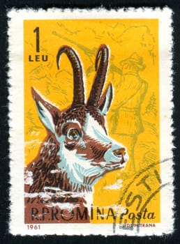 ROMANIA - CIRCA 1961: stamp printed by Romania, show Black goat, circa 1961.