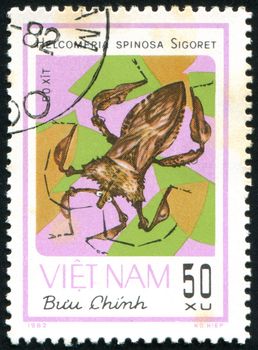 VIET NAM - CIRCA 1982: stamp printed by Viet Nam, shows insect, circa 1982