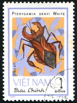 VIET NAM - CIRCA 1982: stamp printed by Viet Nam, shows insect, circa 1982