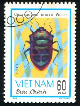 VIET NAM - CIRCA 1982: stamp printed by Viet Nam, shows insect, circa 1982