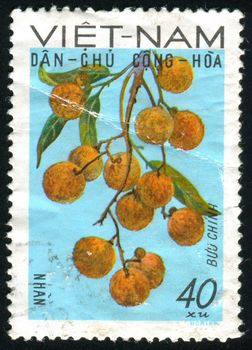 VIET NAM - CIRCA 1984: stamp printed by Viet Nam, shows flower, circa 1984