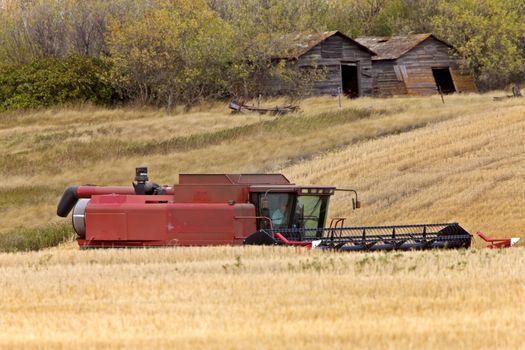 Combining near old granaries Sasktchewan Canada