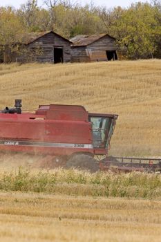 Combining near old granaries Sasktchewan Canada