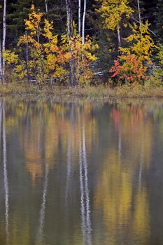 Fall Autumn reflections in Northern Lake Canada