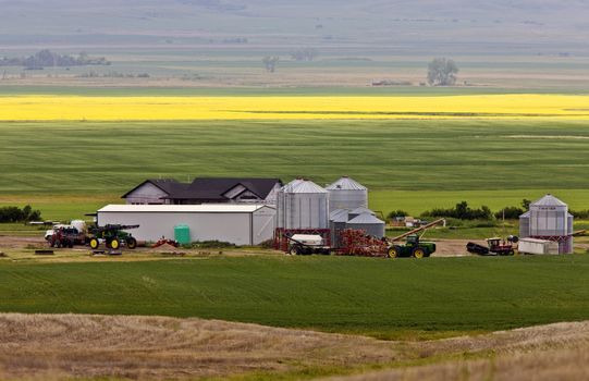 Farm near Mortlach Saskatchewan