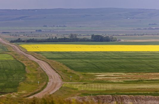 Country road and farmlands