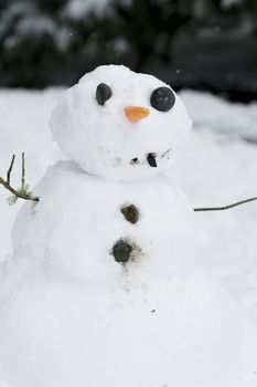 Happy little snowman,  arms raised