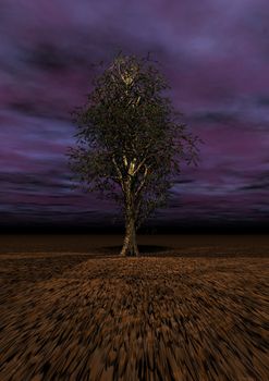 tree brown and sky purple