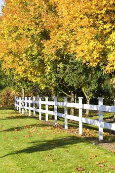 Beautiful autumn leaves along white fence