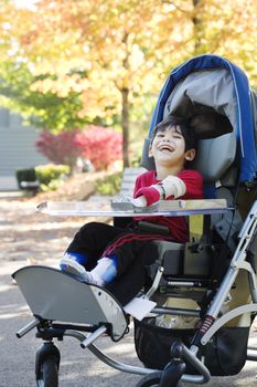 Disabled boy with cerebral palsy in medical stroller enjoying an autumn day outdoors at the park