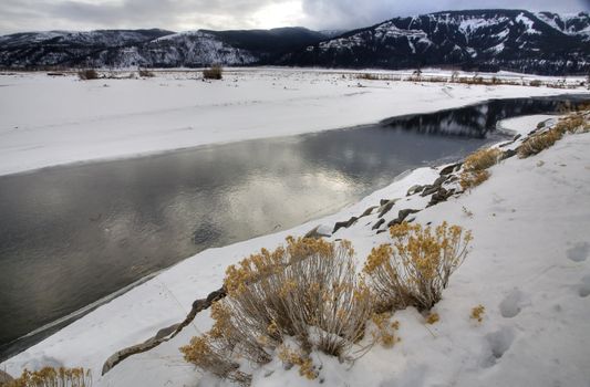 Yellowstone Park Wyoming Winter Snow soda butte creek