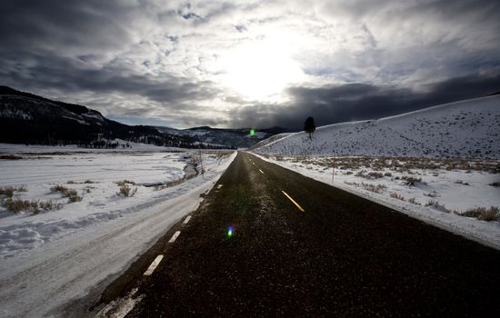 Yellowstone Park Wyoming Winter Snow