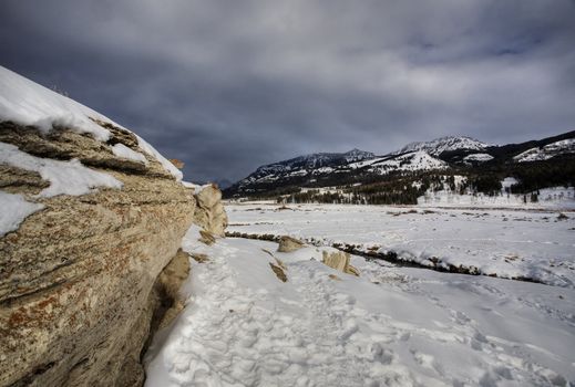 Yellowstone Park Wyoming Winter Snow