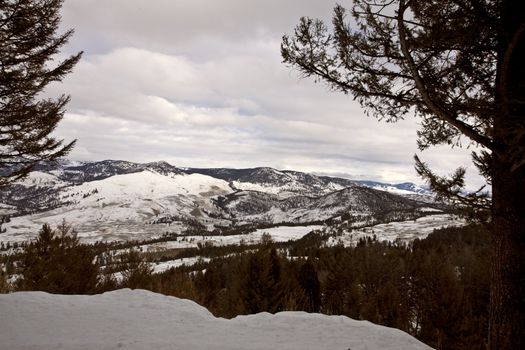 Yellowstone Park Wyoming Winter Snow