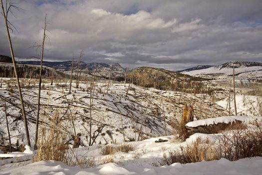 Yellowstone Park Wyoming Winter Snow