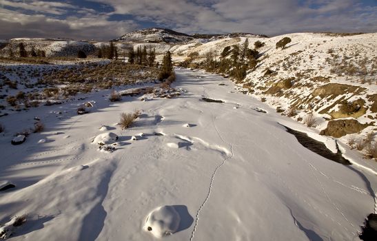 Yellowstone Park Wyoming Winter Snow