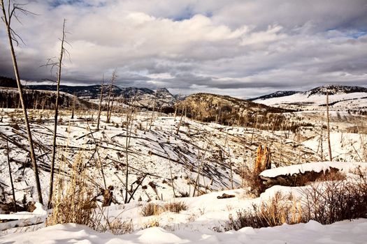 Yellowstone Park Wyoming Winter Snow