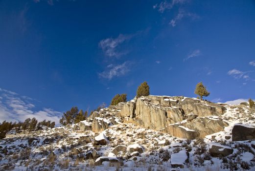 Yellowstone Park Wyoming Winter Snow