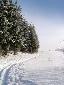 Winter cross country ski trail