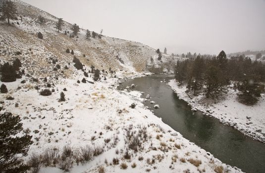 Yellowstone Park Wyoming Winter Snow