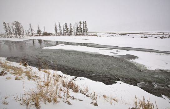 Yellowstone Park Wyoming Winter Snow soda butte creek