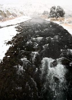 Yellowstone Park Wyoming Winter Snow