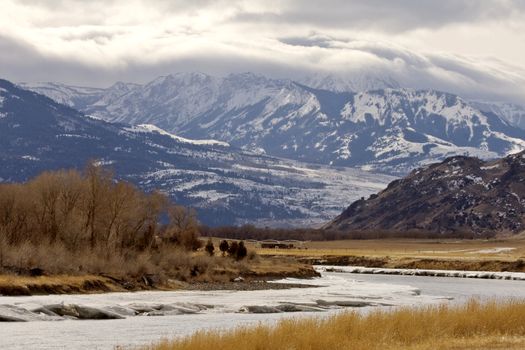 Yellowstone Park Wyoming Winter Snow