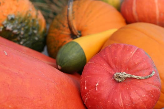 Halloween pumpkins still-life with natural background 