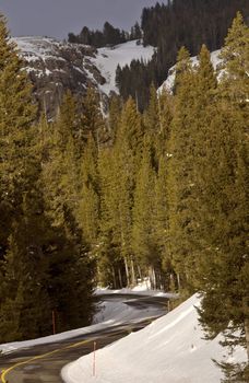 Yellowstone Park Wyoming Winter Snow